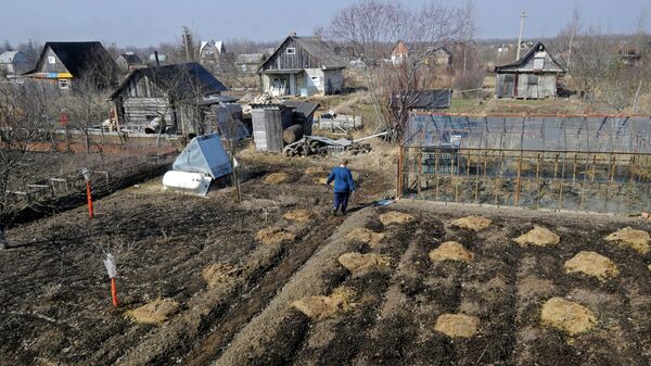 Жители Новгородской области работают на своих садово-огородных участках. Архивное фото