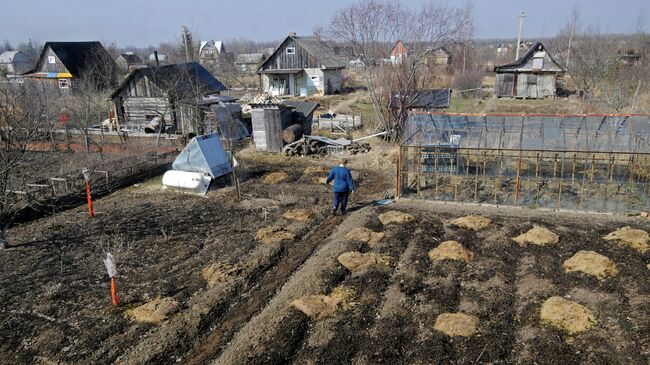 Начало дачного сезона. Жители Новгородской области работают на своих садово-огородных участках. Новгородская область. Архивное фото