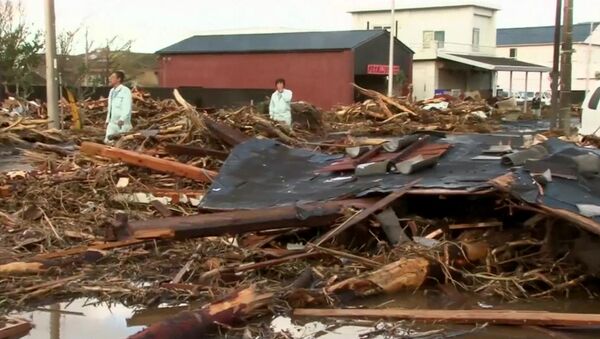 Разрушенные дома и поваленные деревья – последствия тайфуна Випа в Японии