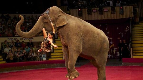 Цирк огромных зверей в Сокольниках. Аттракцион Слон и лошадь под рук.А.Донерт