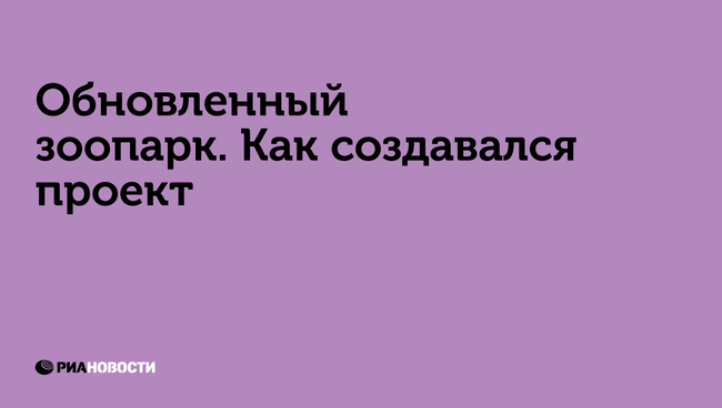 Обновленный зоопарк. Как создавался проект