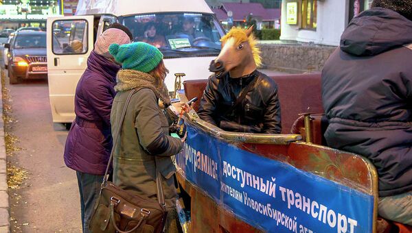 Конь - кандидат в мэры Новосибирска