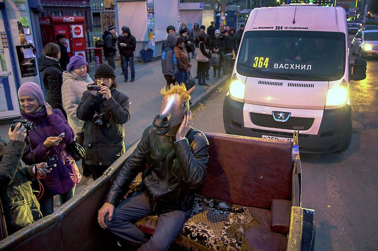 Конь - кандидат в мэры Новосибирска Конь - кандидат в мэры Новосибирска