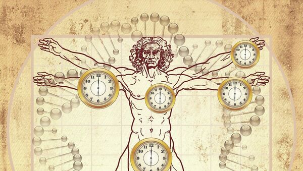 Биологические часы, обнаруженные ученым, позволяют измерить возраст разных частей организма, архивное фото
