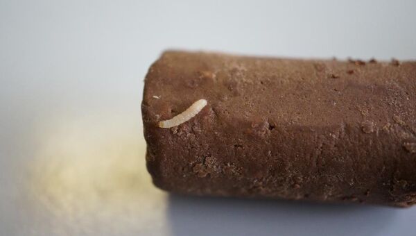 Конфеты с гусеницами обнаружены в Новосибирске, событийное фото