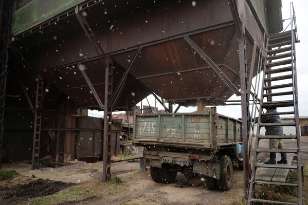 Зерновой ток на элеваторе в селе Мышланка Новосибирской области