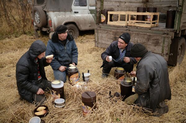 Механизаторы ужинают в поле во время уборки пшеницы недалеко от села Мышланка Новосибирской области