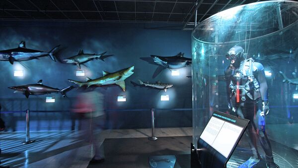 Выставка Мир акул. Глубокое погружение
