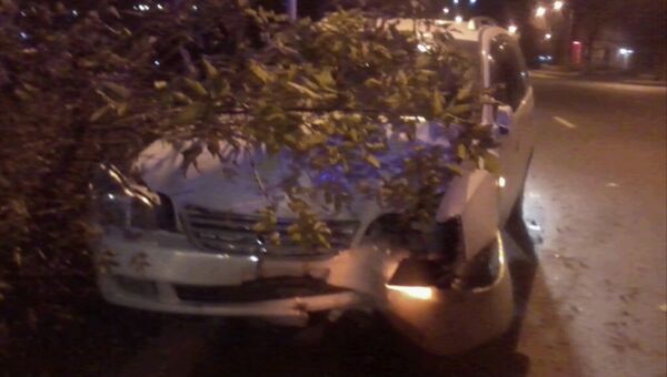 Неизвестный угнал машину у полицейского и врезался в дерево в Приморье