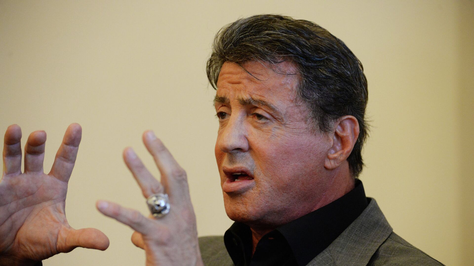 Открытие выставки картин Сильвестра Сталлоне в Русском музее. 2013 год Открытие выставки картин Сильвестра Сталлоне в Русском музее. 2013 год - РИА Новости, 1920