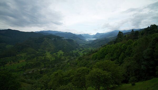Долина Кокора в Колумбии. Архивное фото.