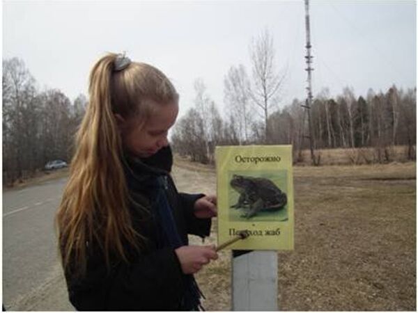 Акция Сохраним жаб в Томской области, архивное фото