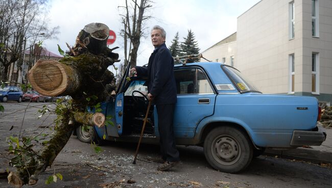 Последствия урагана Святой Иуда в Великом Новгороде. Архивное фото