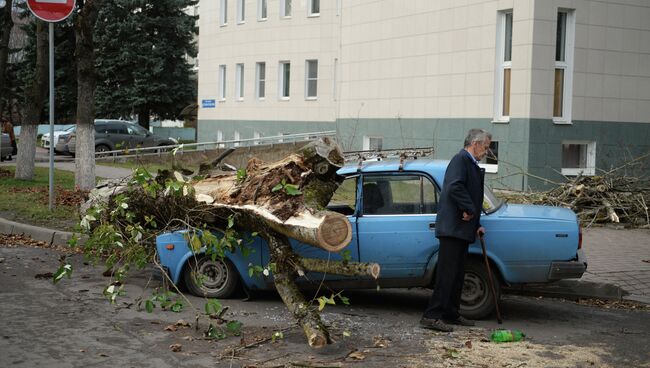 Последствия урагана Святой Иуда в Великом Новгороде