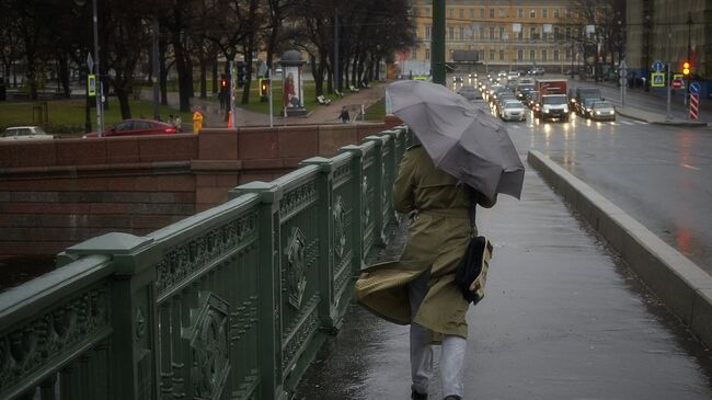 Ветер в Санкт-Петербурге