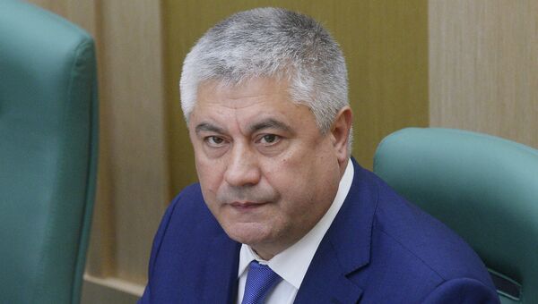 Министр внутренних дел РФ Владимир Колокольцев. Архивное фото