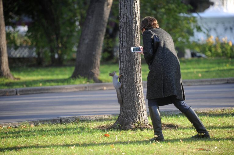 Теплая погода в Москве