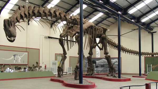 Реконструкция скелета аргентинозавра из музея патагонского города Неукен. Архивное фото