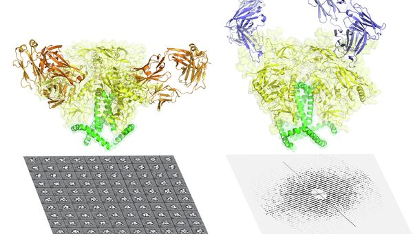 Трехмерная форма белка Env, помогающая вирусу ВИЧ проникать в человеческие клетки, архивное фото