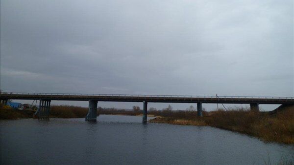 Автодорожный мост через реку Карасук в Новосибирской области, архивное фото