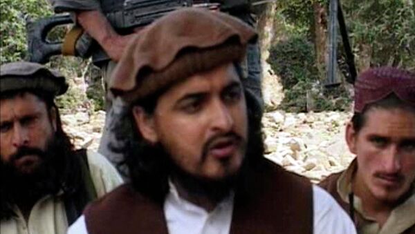 Лидер движения Техрик-и-Талибан Пакистан (ТТП) Хакимулла Мехсуд. Архивное фото