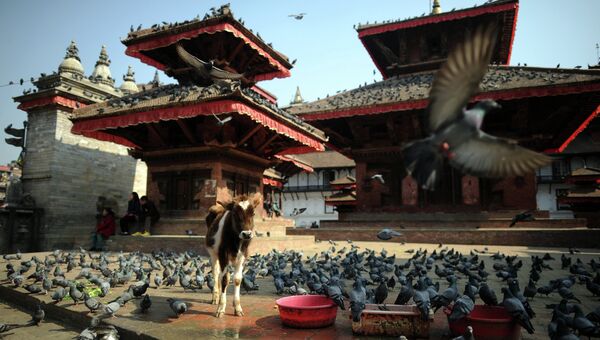 Королевская площадь Дурбар в центре Катманду. Архивное фото