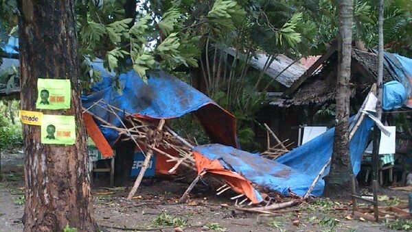 Вырванные деревья и разрушенные дома: последствия тайфуна Йоланда