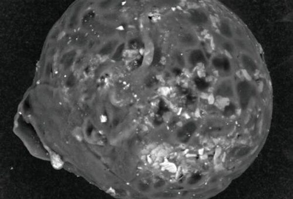 Углеродные включения в стекле Тасманийского метеорита