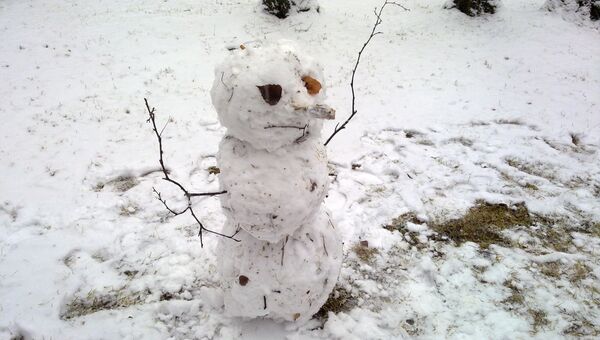 Снеговик в Лагерном саду Томска, архивное фото