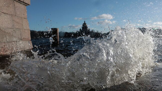 Река Нева в Санкт-Петербурге