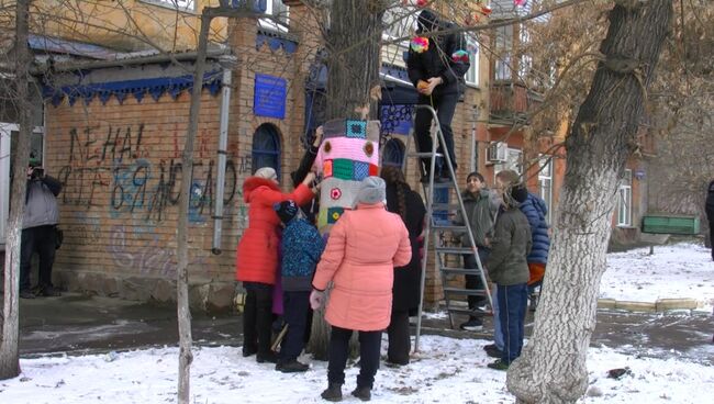 Спицы и клубок шерсти: свитер для тополя связали в Красноярске