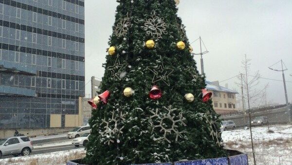 Первая новогодняя елка Владивостока украсила дорогу к Золотому мосту. Фото с места события