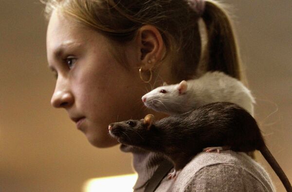 Девочка с крысами на плече