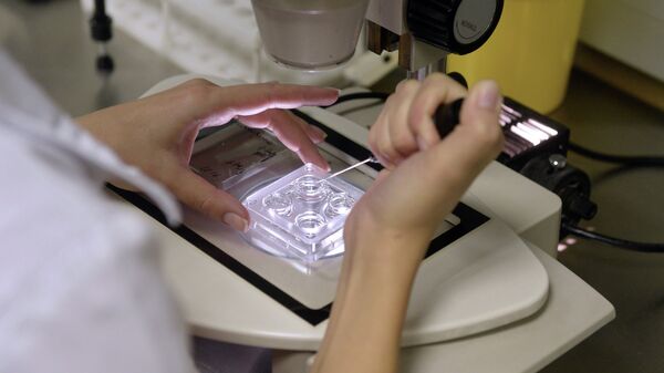 Сотрудница центра занимается оплодотворением яйцеклеток в лабораторных условиях. Архивное фото