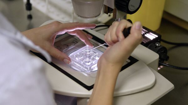Сотрудница центра занимается оплодотворением яйцеклеток, архивное фото