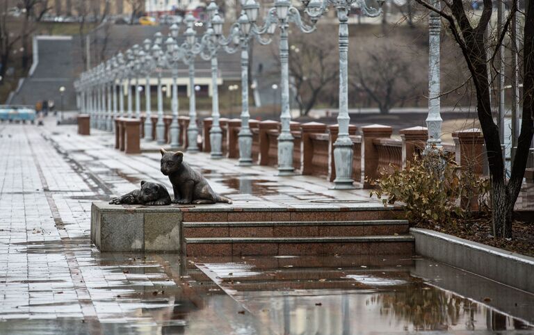 Ноябрьский ливень во Владивостоке