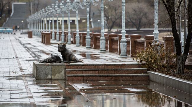 Ноябрьский ливень во Владивостоке