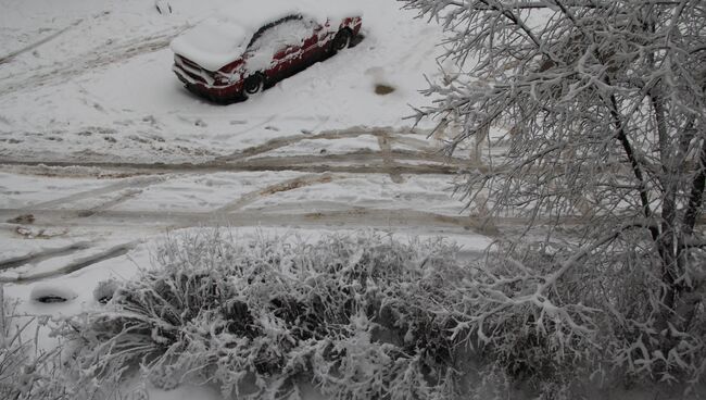 Снегопад в Костроме, 26 ноября 2013 года