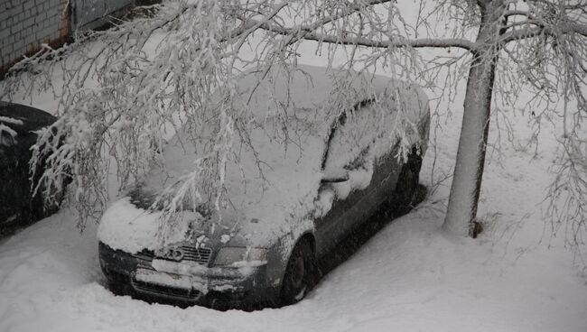 Снегопад в Костроме, 26 ноября 2013 года