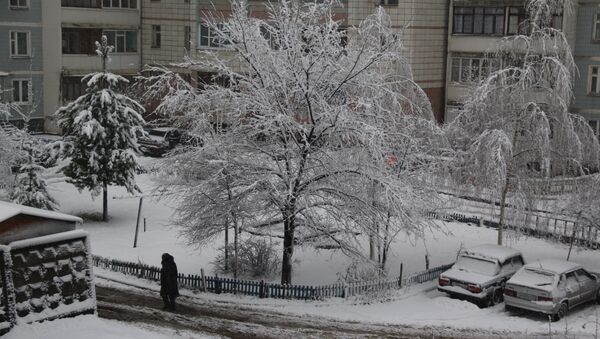 Снегопад в Костроме 26 ноября 2013 года. Событийное фото.