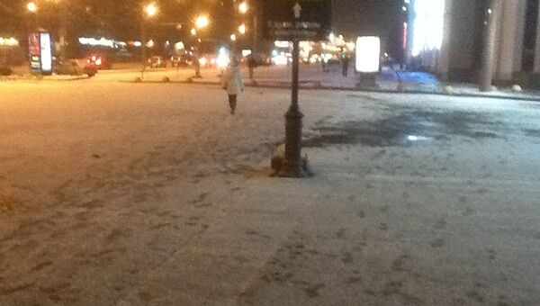 Первый снег в Петербурге. Фото с места события