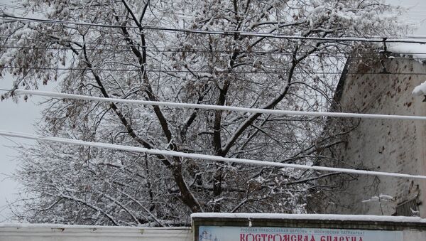 Снегопад в Костромской области. Событийное фото