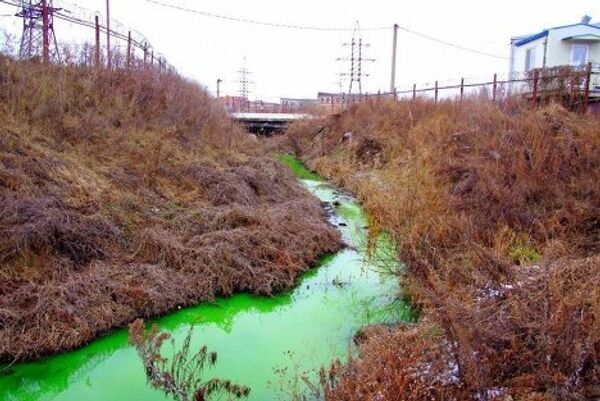 Экологи Приморья проверят химический состав позеленевшей реки в Артеме. Фото с места события
