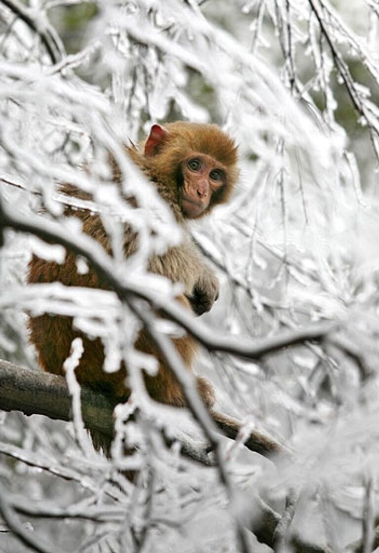 REUTERS/China Daily