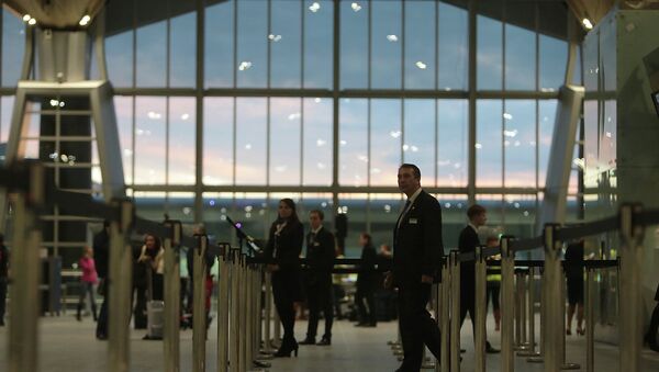 Новый терминал петербургского аэропорта Пулково, архивное фото