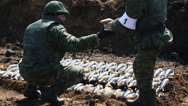 Утилизация боеприпасов. Архивное фото