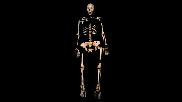 Скелет гейдельбергского человека, найденный в одной из пещер на севере Испании