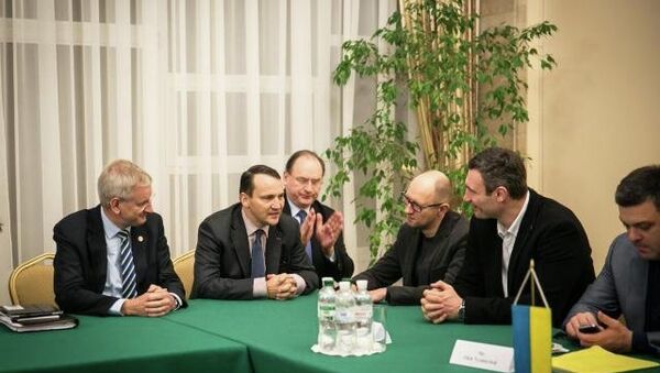 Глава МИД Польши Радослав Сикорский на встрече с лидерами украинской оппозиции