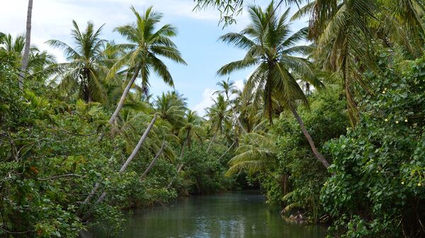 Остров Гуам: река Талофофо, которая рассекает джунгли на острове пополам