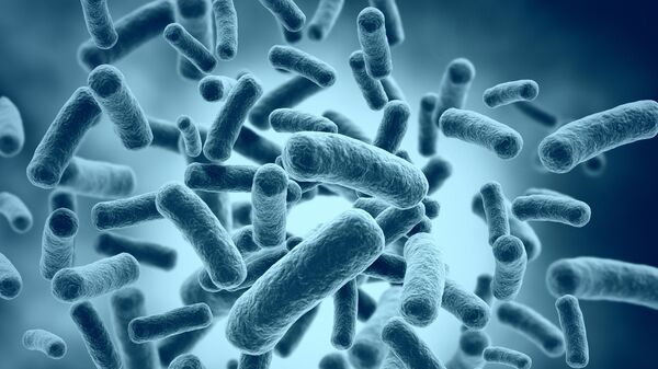 Бактерии, архивное фото